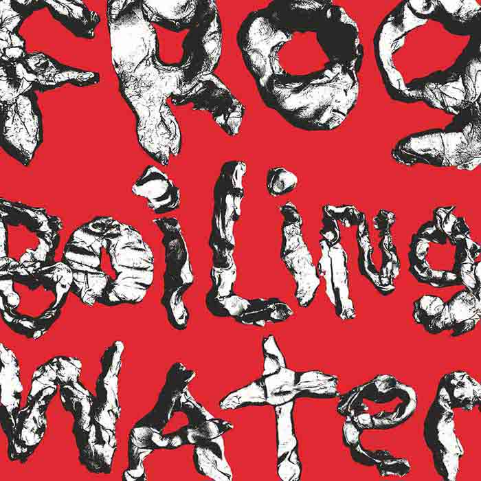 DIIV – Frog In Boiling Water LP