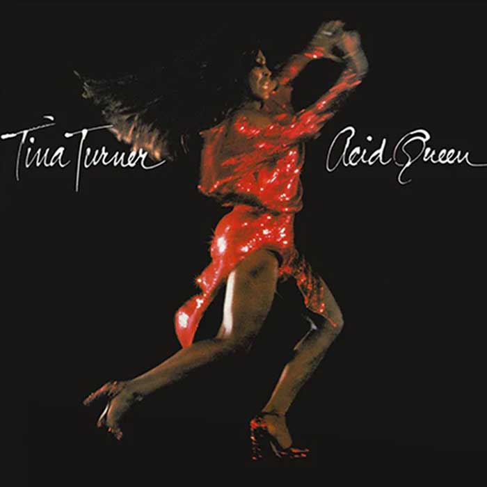tina-turner-acid-queen