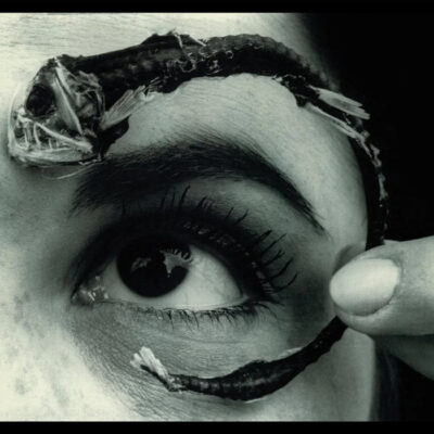 lp-mr-bungle-disco-volante-ploca-vinil-vinyl-limited-blue-081227809584