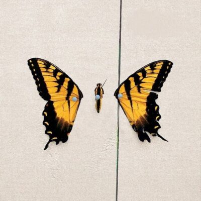paramore-brand-new-eyes-lp-album-record-vinil-vinyl-ploca-075678956133